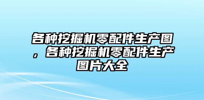 各種挖掘機(jī)零配件生產(chǎn)圖，各種挖掘機(jī)零配件生產(chǎn)圖片大全