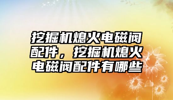 挖掘機熄火電磁閥配件，挖掘機熄火電磁閥配件有哪些