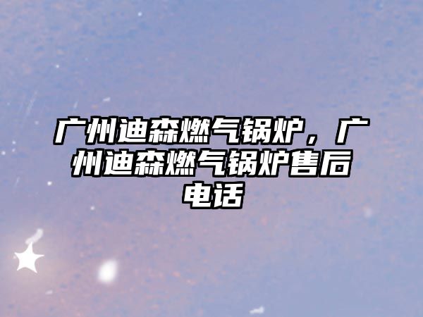 廣州迪森燃?xì)忮仩t，廣州迪森燃?xì)忮仩t售后電話