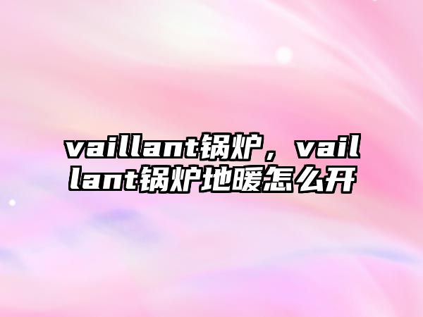 vaillant鍋爐，vaillant鍋爐地暖怎么開