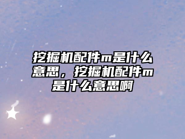 挖掘機配件m是什么意思，挖掘機配件m是什么意思啊