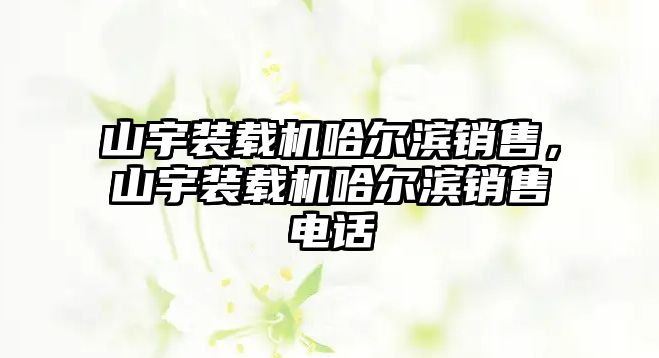 山宇裝載機哈爾濱銷售，山宇裝載機哈爾濱銷售電話