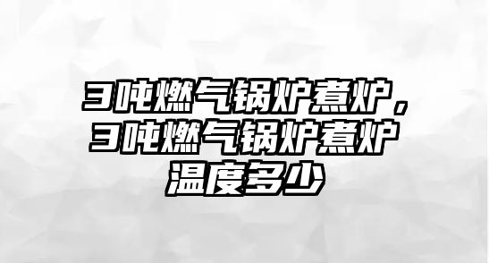 3噸燃?xì)忮仩t煮爐，3噸燃?xì)忮仩t煮爐溫度多少