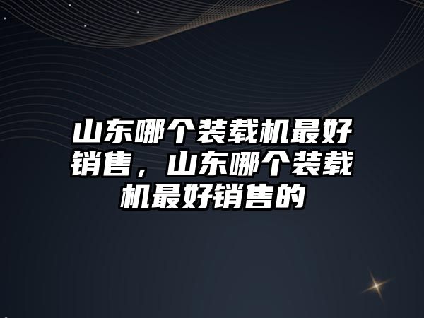 山東哪個裝載機最好銷售，山東哪個裝載機最好銷售的