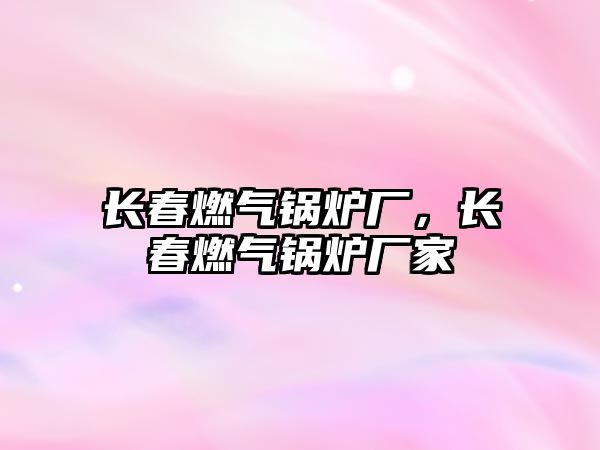 長春燃?xì)忮仩t廠，長春燃?xì)忮仩t廠家