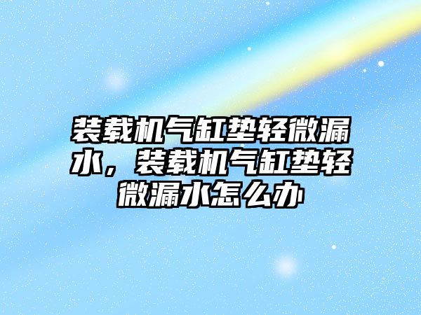 裝載機氣缸墊輕微漏水，裝載機氣缸墊輕微漏水怎么辦