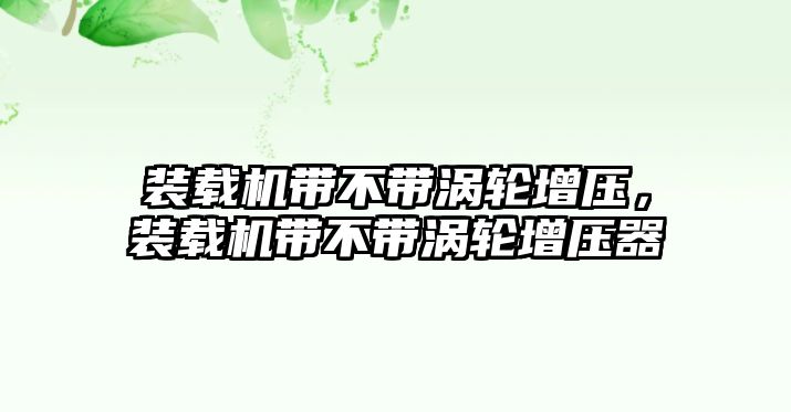 裝載機(jī)帶不帶渦輪增壓，裝載機(jī)帶不帶渦輪增壓器