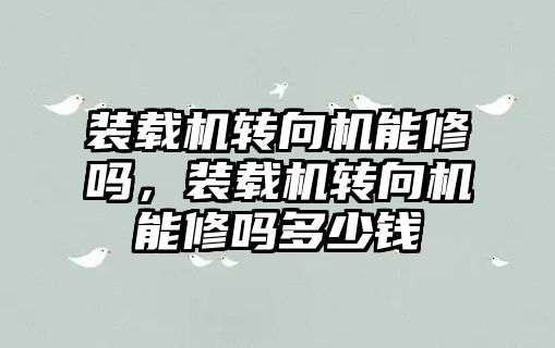 裝載機轉向機能修嗎，裝載機轉向機能修嗎多少錢