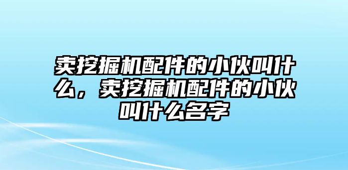 賣挖掘機配件的小伙叫什么，賣挖掘機配件的小伙叫什么名字