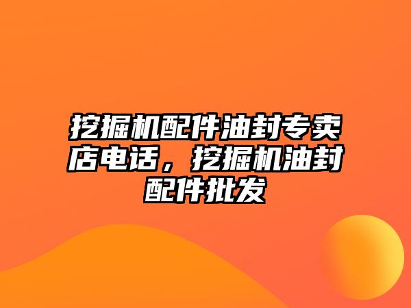 挖掘機配件油封專賣店電話，挖掘機油封配件批發(fā)