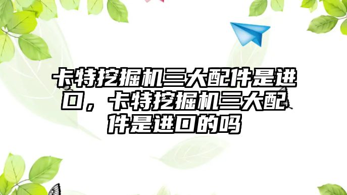 卡特挖掘機三大配件是進口，卡特挖掘機三大配件是進口的嗎