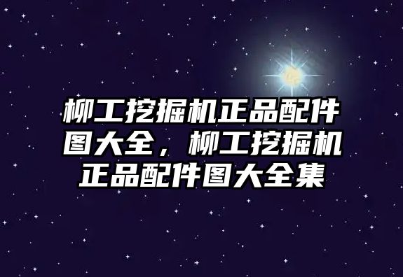 柳工挖掘機(jī)正品配件圖大全，柳工挖掘機(jī)正品配件圖大全集