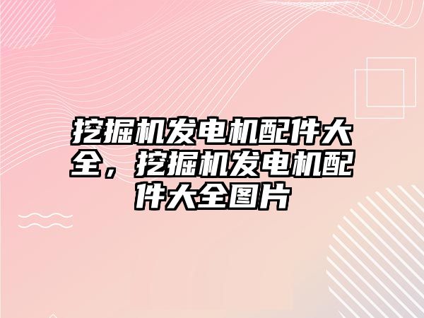 挖掘機發(fā)電機配件大全，挖掘機發(fā)電機配件大全圖片