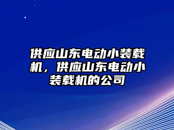 供應山東電動小裝載機，供應山東電動小裝載機的公司