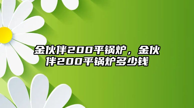 金伙伴200平鍋爐，金伙伴200平鍋爐多少錢