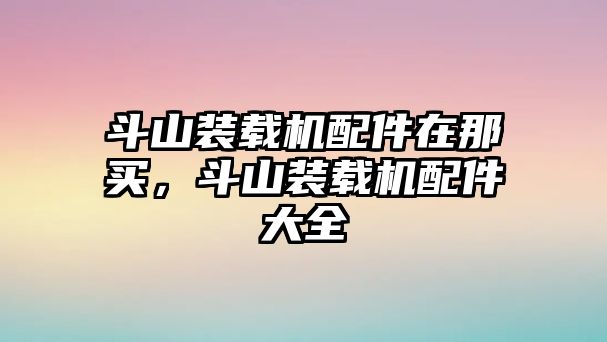 斗山裝載機配件在那買，斗山裝載機配件大全