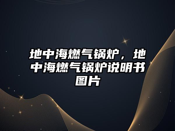 地中海燃?xì)忮仩t，地中海燃?xì)忮仩t說明書圖片