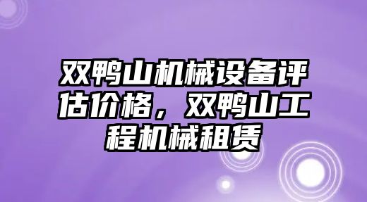 雙鴨山機械設備評估價格，雙鴨山工程機械租賃