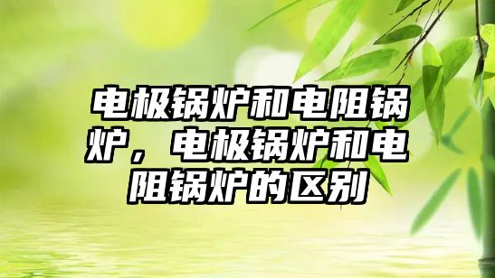 電極鍋爐和電阻鍋爐，電極鍋爐和電阻鍋爐的區(qū)別