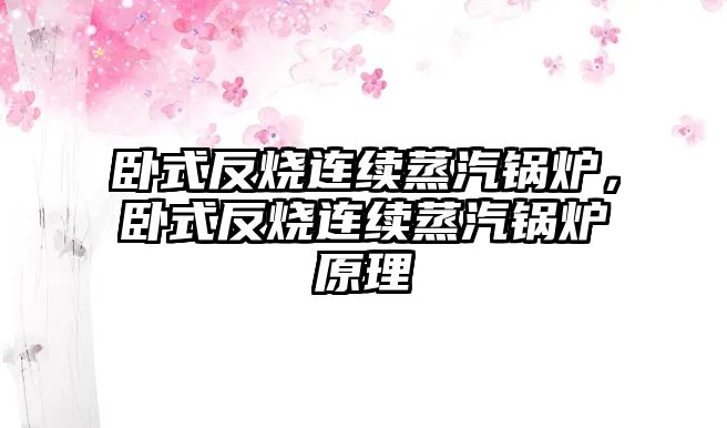 臥式反燒連續(xù)蒸汽鍋爐，臥式反燒連續(xù)蒸汽鍋爐原理