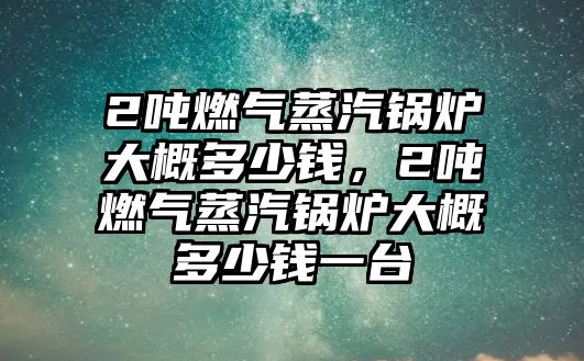 2噸燃氣蒸汽鍋爐大概多少錢，2噸燃氣蒸汽鍋爐大概多少錢一臺