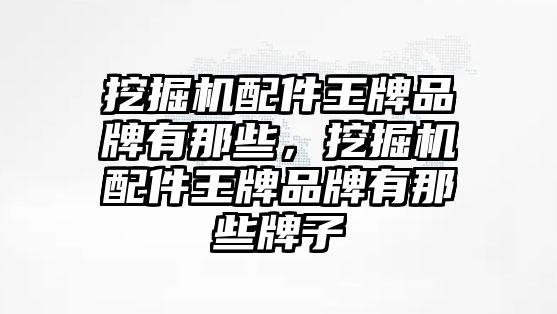 挖掘機(jī)配件王牌品牌有那些，挖掘機(jī)配件王牌品牌有那些牌子