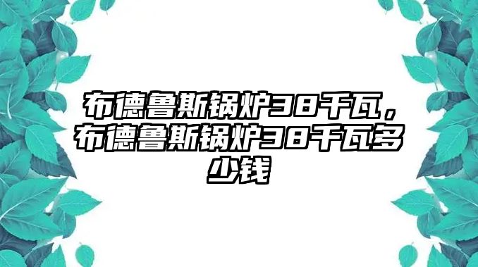 布德魯斯鍋爐38千瓦，布德魯斯鍋爐38千瓦多少錢