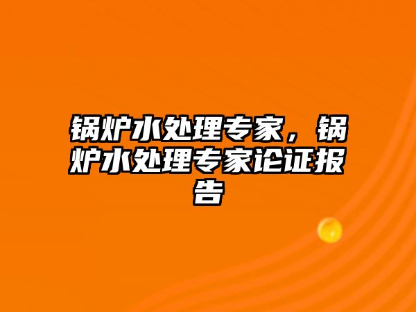 鍋爐水處理專家，鍋爐水處理專家論證報(bào)告