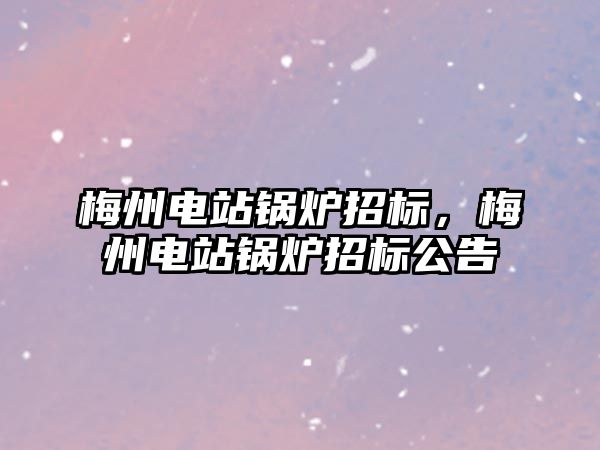 梅州電站鍋爐招標，梅州電站鍋爐招標公告