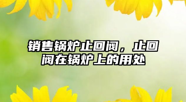 銷售鍋爐止回閥，止回閥在鍋爐上的用處