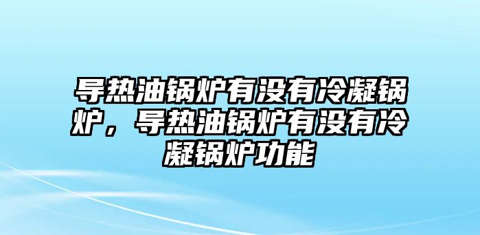 導(dǎo)熱油鍋爐有沒有冷凝鍋爐，導(dǎo)熱油鍋爐有沒有冷凝鍋爐功能