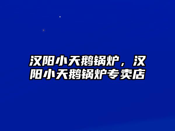 漢陽小天鵝鍋爐，漢陽小天鵝鍋爐專賣店