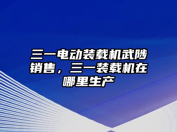 三一電動裝載機(jī)武陟銷售，三一裝載機(jī)在哪里生產(chǎn)