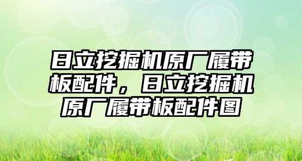 日立挖掘機原廠履帶板配件，日立挖掘機原廠履帶板配件圖