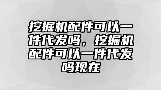 挖掘機(jī)配件可以一件代發(fā)嗎，挖掘機(jī)配件可以一件代發(fā)嗎現(xiàn)在