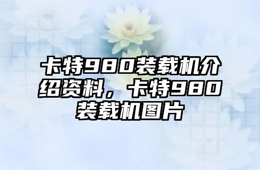 卡特980裝載機(jī)介紹資料，卡特980裝載機(jī)圖片