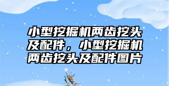 小型挖掘機(jī)兩齒挖頭及配件，小型挖掘機(jī)兩齒挖頭及配件圖片