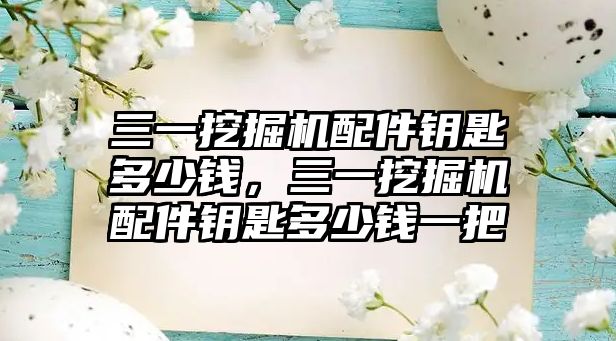 三一挖掘機配件鑰匙多少錢，三一挖掘機配件鑰匙多少錢一把