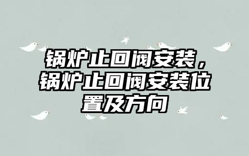 鍋爐止回閥安裝，鍋爐止回閥安裝位置及方向