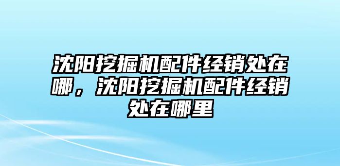 沈陽(yáng)挖掘機(jī)配件經(jīng)銷處在哪，沈陽(yáng)挖掘機(jī)配件經(jīng)銷處在哪里