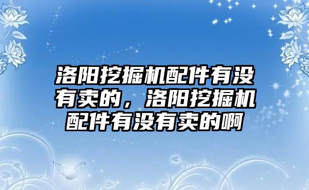 洛陽挖掘機(jī)配件有沒有賣的，洛陽挖掘機(jī)配件有沒有賣的啊