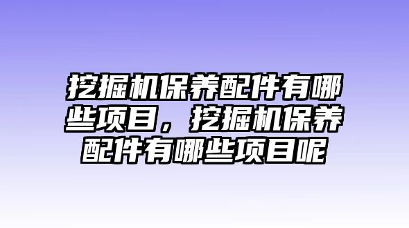 挖掘機保養(yǎng)配件有哪些項目，挖掘機保養(yǎng)配件有哪些項目呢