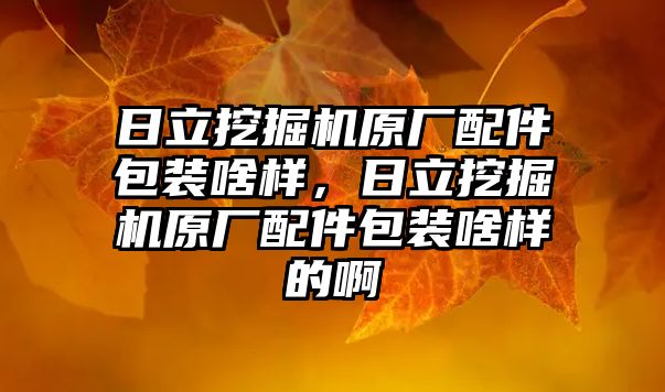 日立挖掘機原廠配件包裝啥樣，日立挖掘機原廠配件包裝啥樣的啊