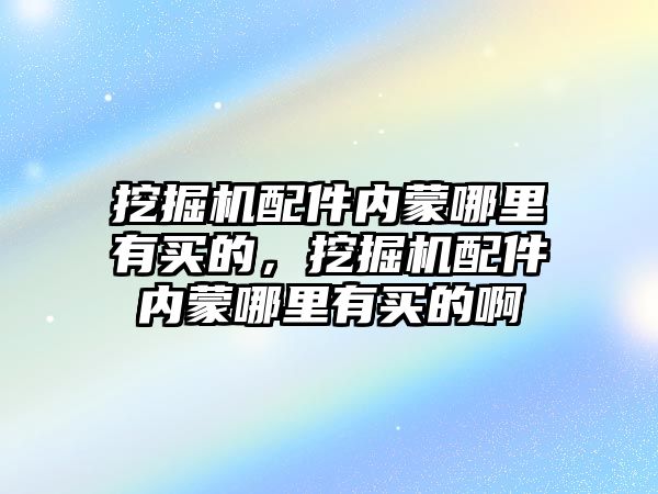 挖掘機配件內(nèi)蒙哪里有買的，挖掘機配件內(nèi)蒙哪里有買的啊