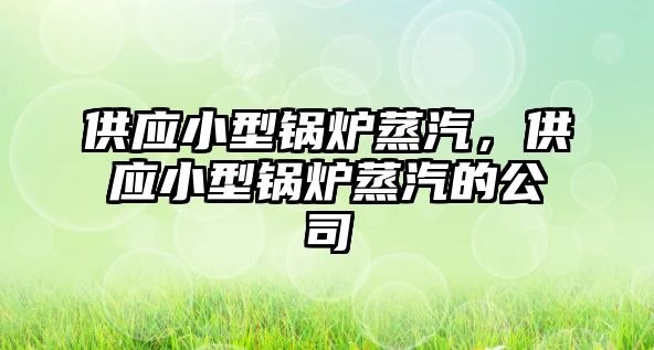 供應小型鍋爐蒸汽，供應小型鍋爐蒸汽的公司