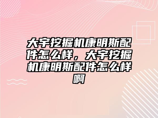 大宇挖掘機康明斯配件怎么樣，大宇挖掘機康明斯配件怎么樣啊