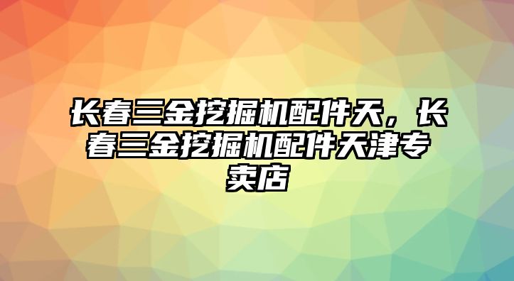 長春三金挖掘機(jī)配件天，長春三金挖掘機(jī)配件天津?qū)Ｙu店