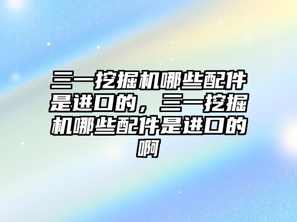 三一挖掘機哪些配件是進(jìn)口的，三一挖掘機哪些配件是進(jìn)口的啊