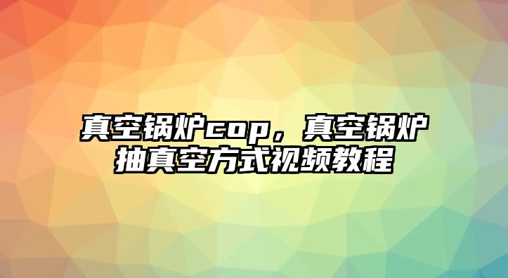 真空鍋爐cop，真空鍋爐抽真空方式視頻教程