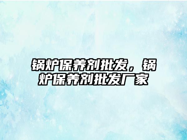 鍋爐保養(yǎng)劑批發(fā)，鍋爐保養(yǎng)劑批發(fā)廠家